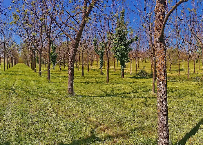 Villaggio La Pescaccia Hotel San Clemente (Rimini)